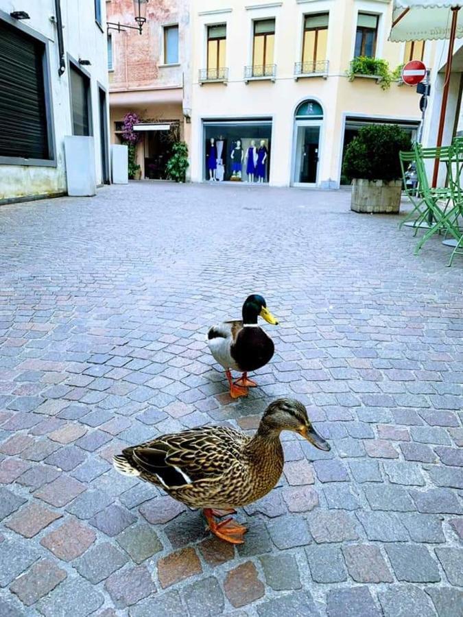 La Petite Maison Treviso Luaran gambar